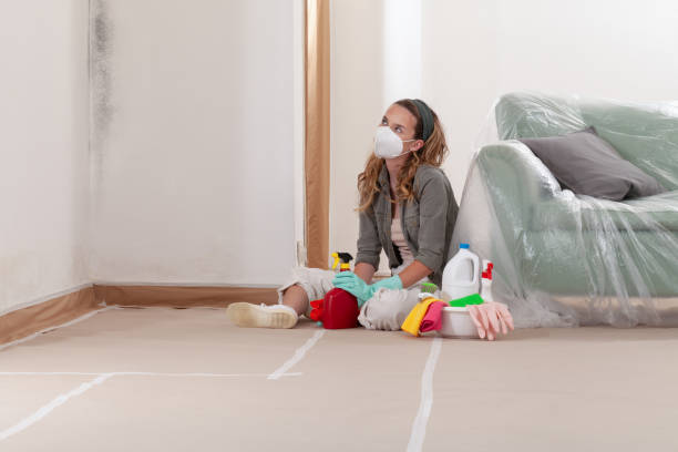 Reliable Basement Mold Remediation contractor in Princeton, KY by Mold Remediation HQ